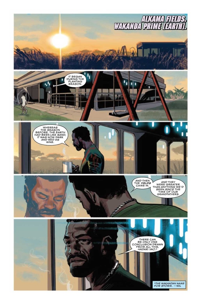 Black Panther #13