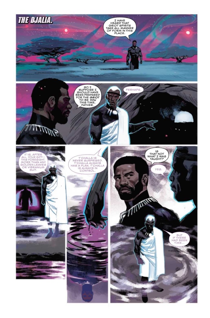 Black Panther #20