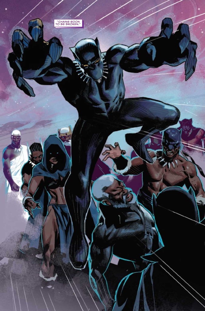 Black Panther #22