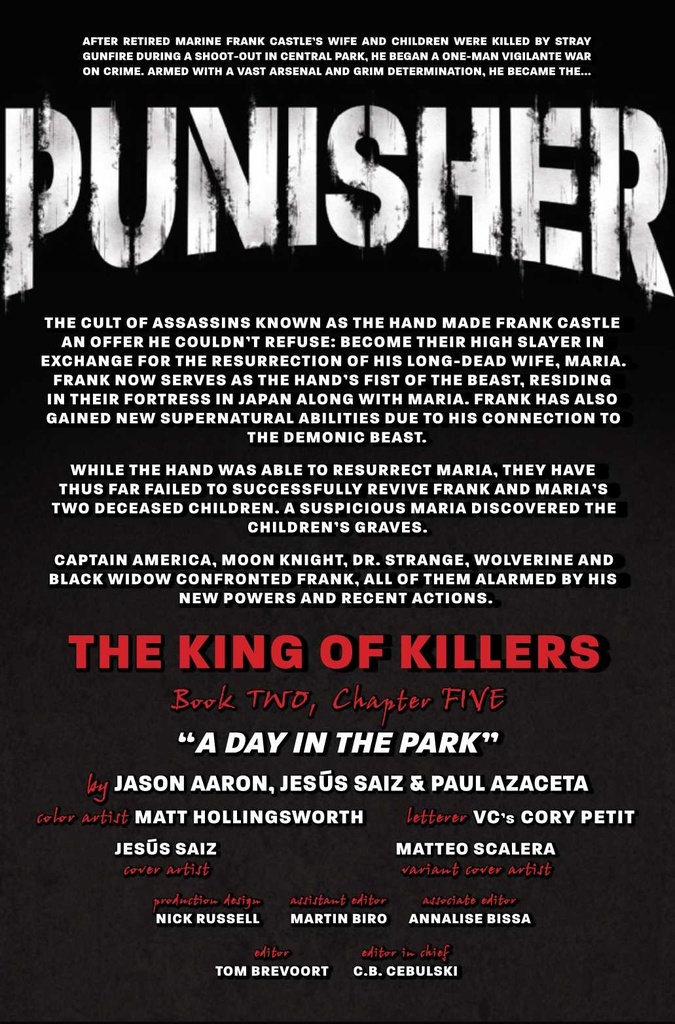 PUNISHER #11