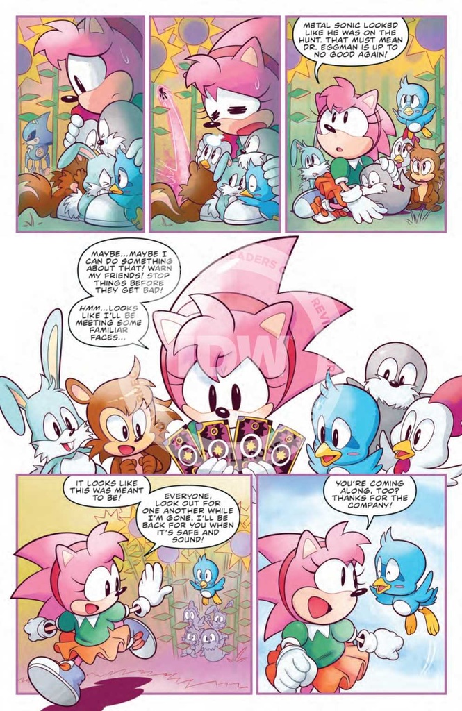 SONIC THE HEDGEHOG AMYS 30TH ANNV #1 CVR B FONSECA