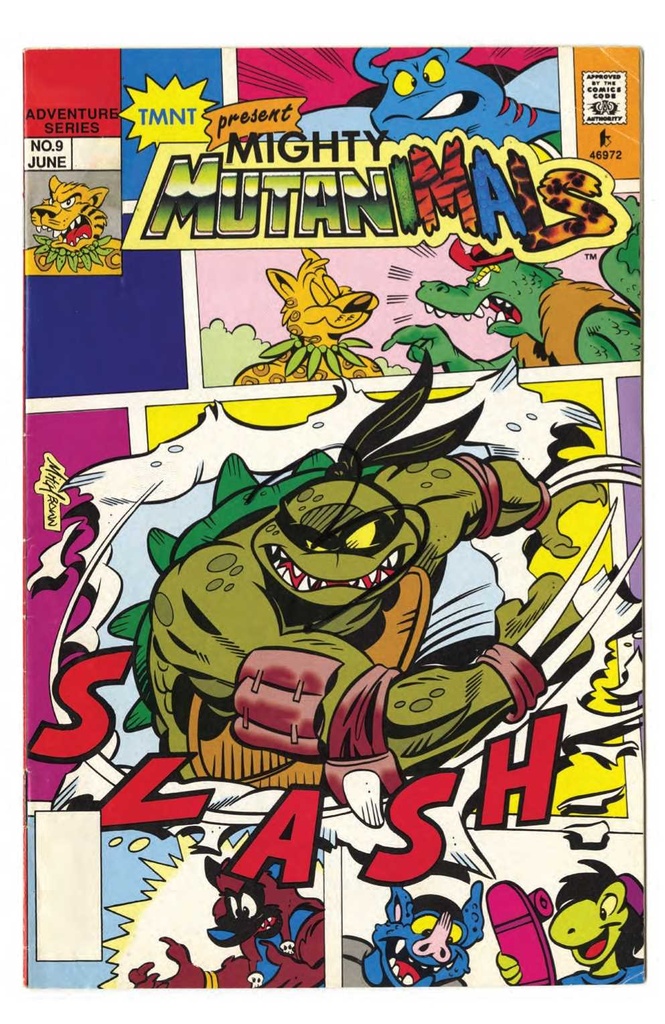 TEENAGE MUTANT NINJA TURTLES BEST OF SLASH