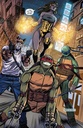 TMNT ARMAGEDDON GAME #7 CVR A FEDERICI