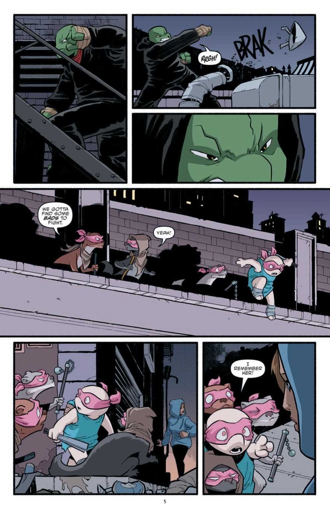 TMNT ONGOING #119 CVR A NELSON DANIEL