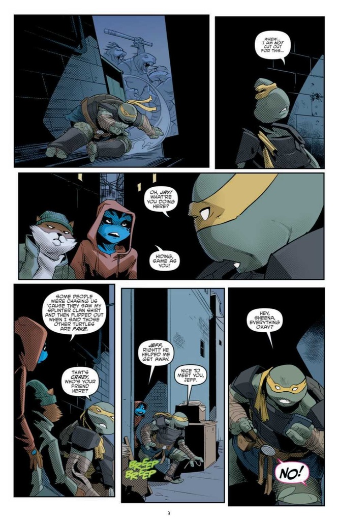 TMNT ONGOING #134 CVR B EASTMAN (C: 1-0-0)