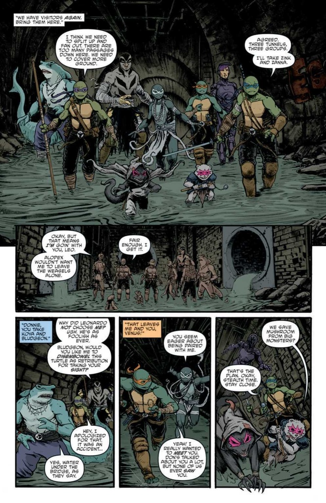 TMNT ONGOING #143 CVR A SMITH