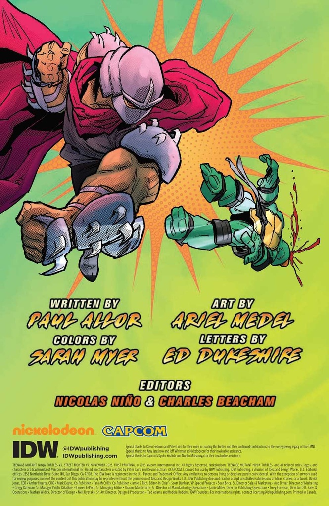 TMNT VS. STREET FIGHTER #5 (OF 5) CVR B MYER