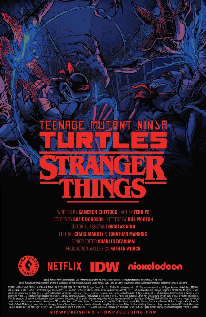 TMNT X STRANGER THINGS #3 CVR C WOODALL