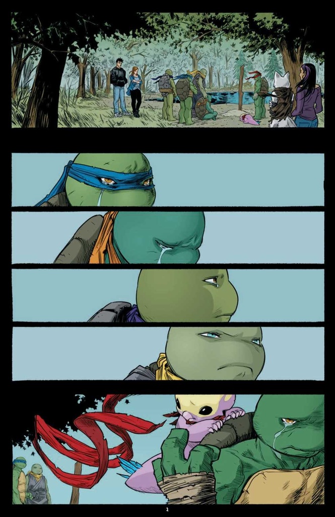 Teenage Mutant Ninja Turtles: Ongoing #101 (Cover A Campbell)