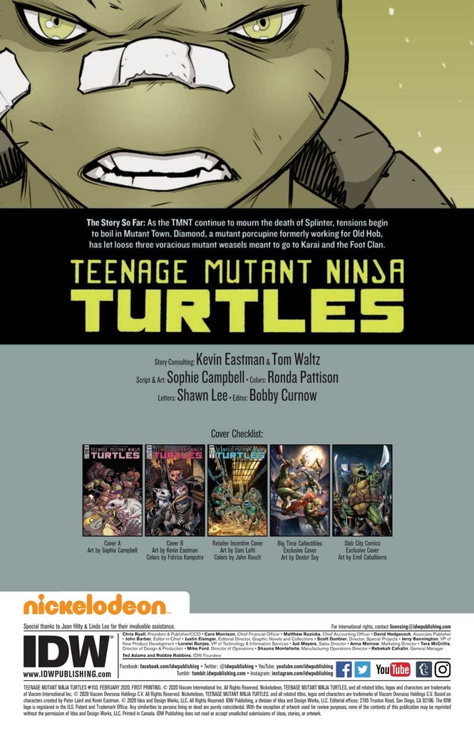 Teenage Mutant Ninja Turtles: Ongoing #103 (1:10 Lofti Variant)