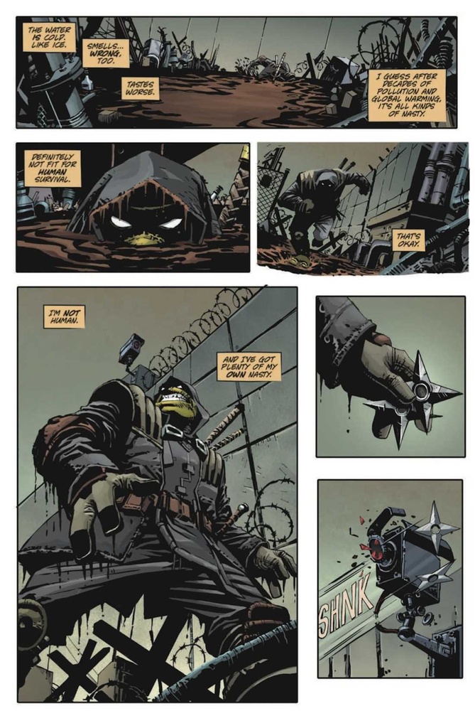 Teenage Mutant Ninja Turtles: The Last Ronin #1 of 5 (1:10 Eastman Variant)