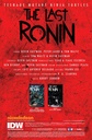 Teenage Mutant Ninja Turtles: The Last Ronin #2 of 5