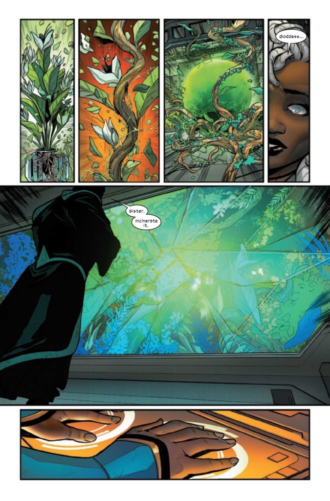 ULTIMATE BLACK PANTHER #5