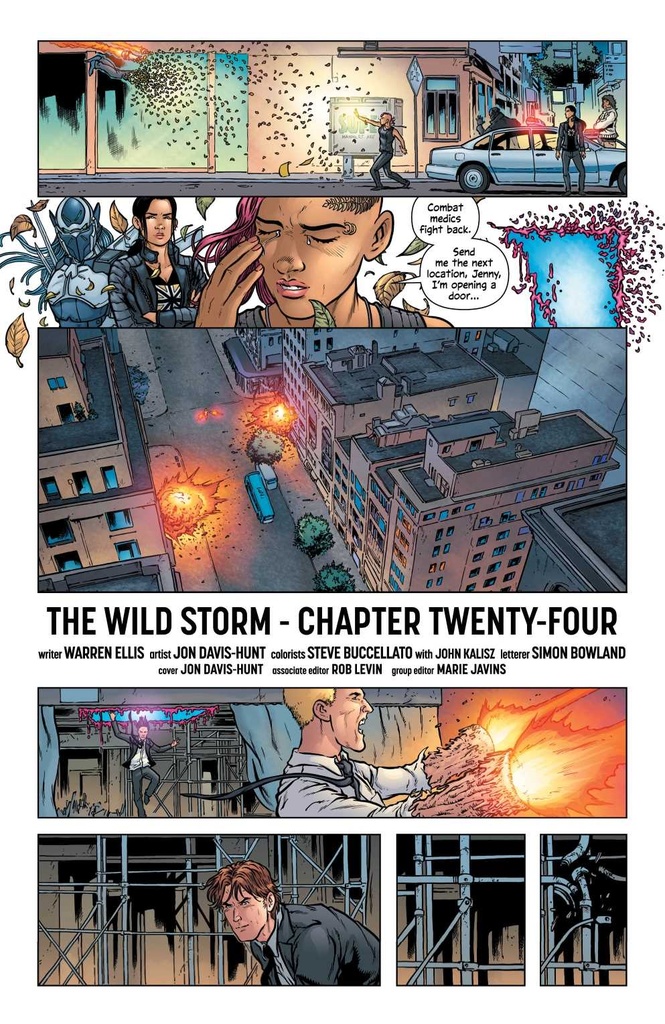 WILD STORM #24