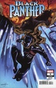 Black Panther #9 (CF Villa Stormbreakers Variant)