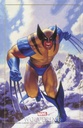 Wolverine: Madripoor Knights #2 (Greg & Tim Hildebrandt Marvel Masterpieces III Variant)