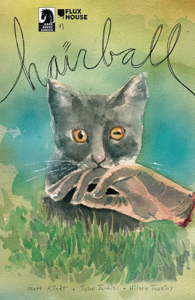 Hairball #3 of 4 (Cover A Matt Kindt)