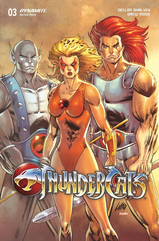 Thundercats #3 (Cover V Rob Liefeld Original Variant)