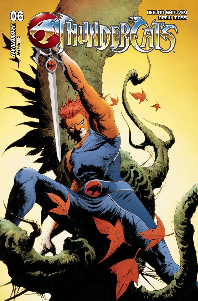 Thundercats #6 (Cover D Jae Lee & June Chung)