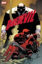 Daredevil #12