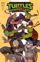 Teenage Mutant Ninja Turtles 40th Anniversary Comics Celebration #1 (Cover E Vincenzo Federici)