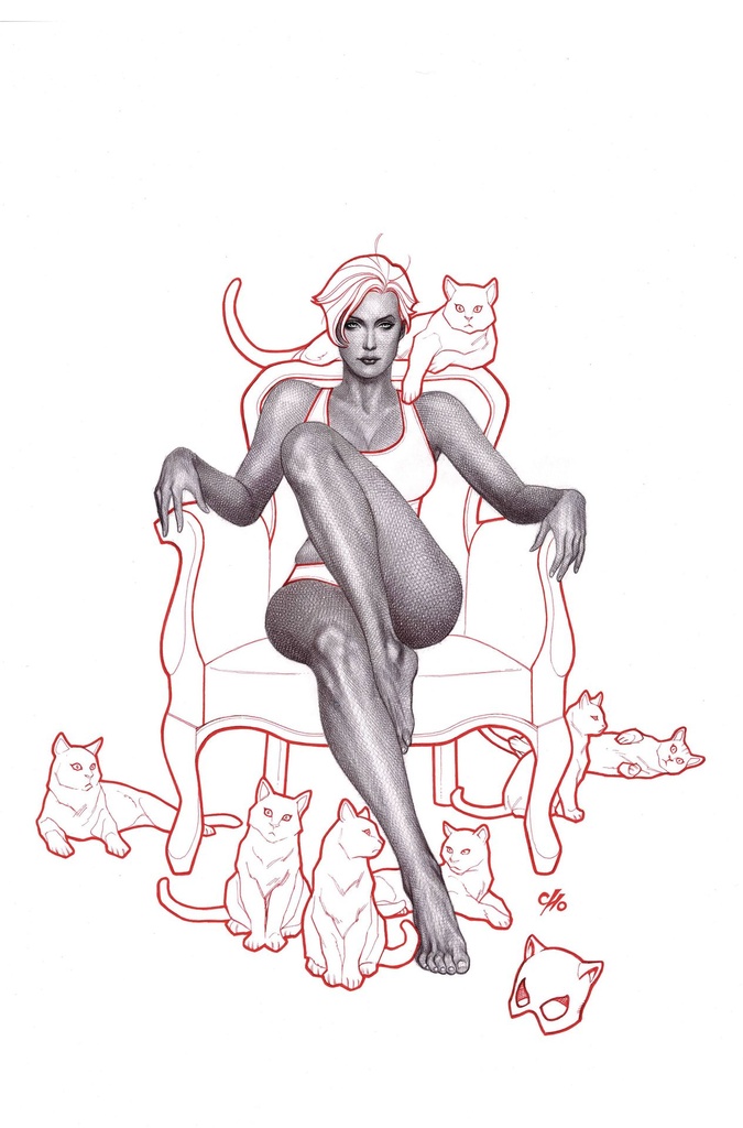 Catwoman #69 (Cover B Frank Cho Card Stock Variant)