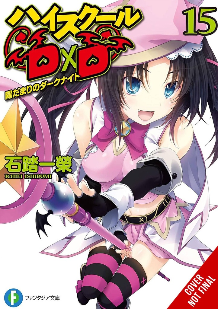 High School DxD, Vol. 15 (Light Novel)