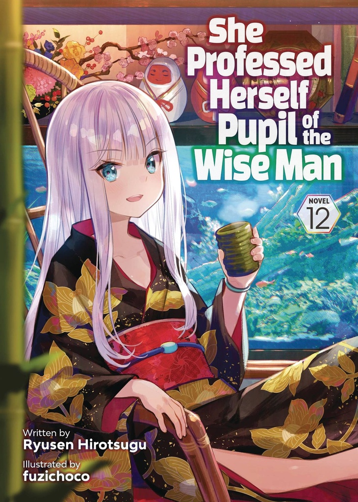 She Professed Herself Pupil of the Wise Man, Vol. 12 (Light Novel)