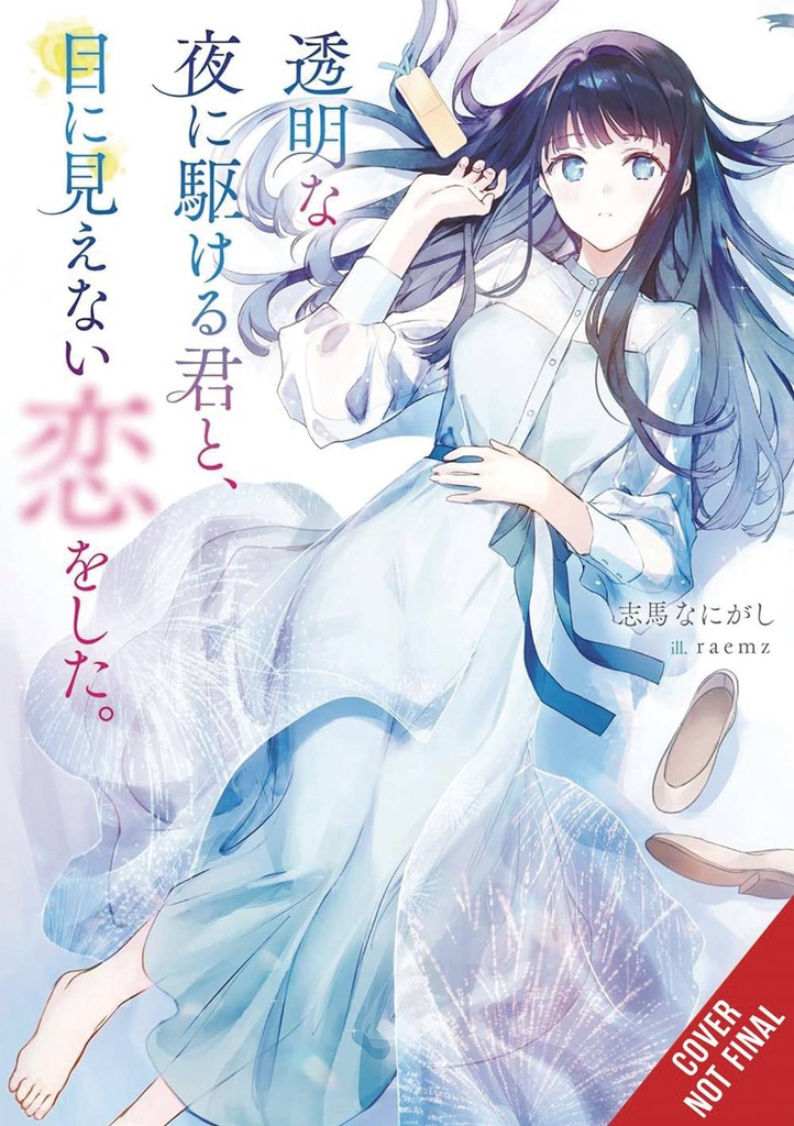 Love Unseen Beneath the Clear Night Sky (Light Novel)