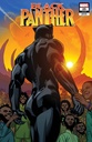 Black Panther #25 (Brian Stelfreeze Final Issue Variant)