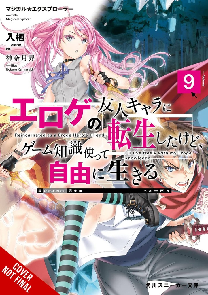 Magical Explorer, Vol. 9 (Light Novel)