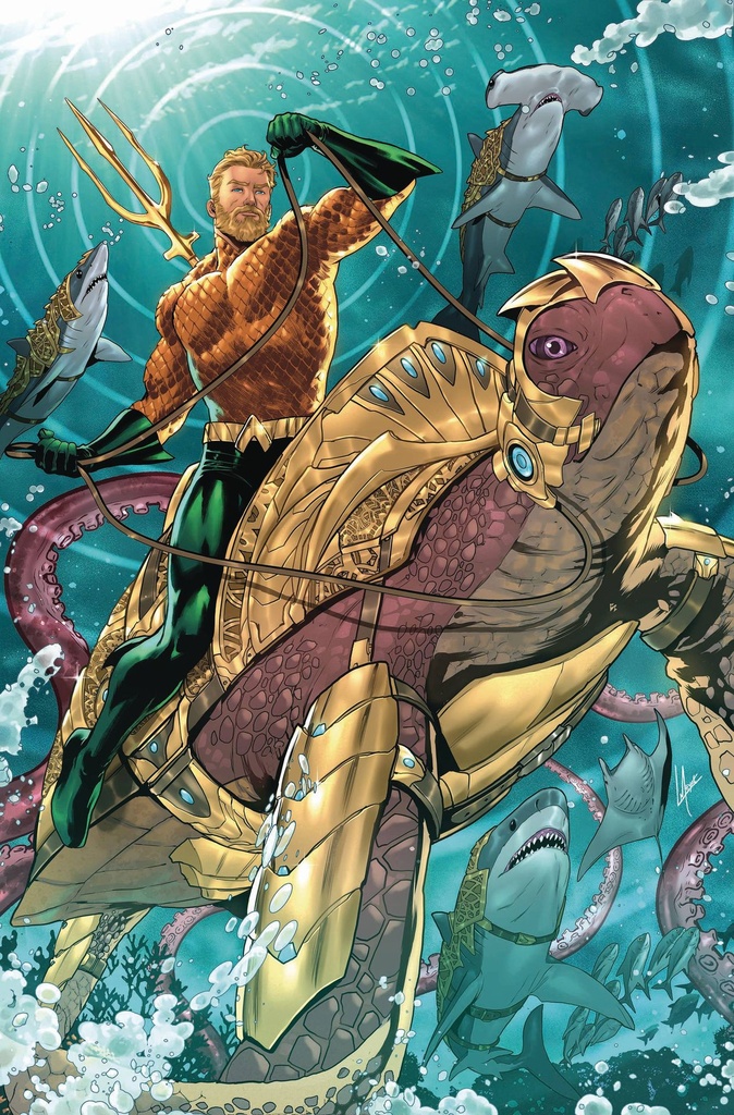 Aquaman #2 (Cover C Lucas Meyer Card Stock Variant)