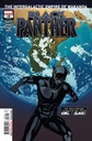 Black Panther #18