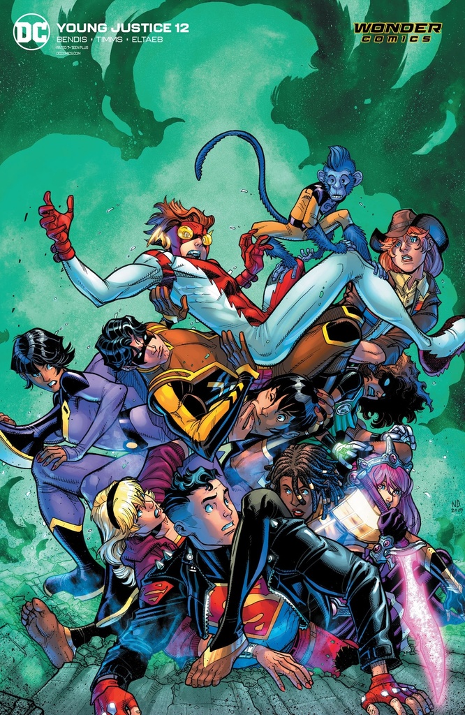 Young Justice #12 (Card Stock Variant Edition)