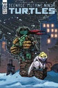 Teenage Mutant Ninja Turtles: Ongoing #102 (Cover B Eastman)