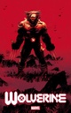 Wolverine #1 (DX)