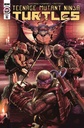 Teenage Mutant Ninja Turtles: Ongoing #107 (1:10 McArdell Variant)