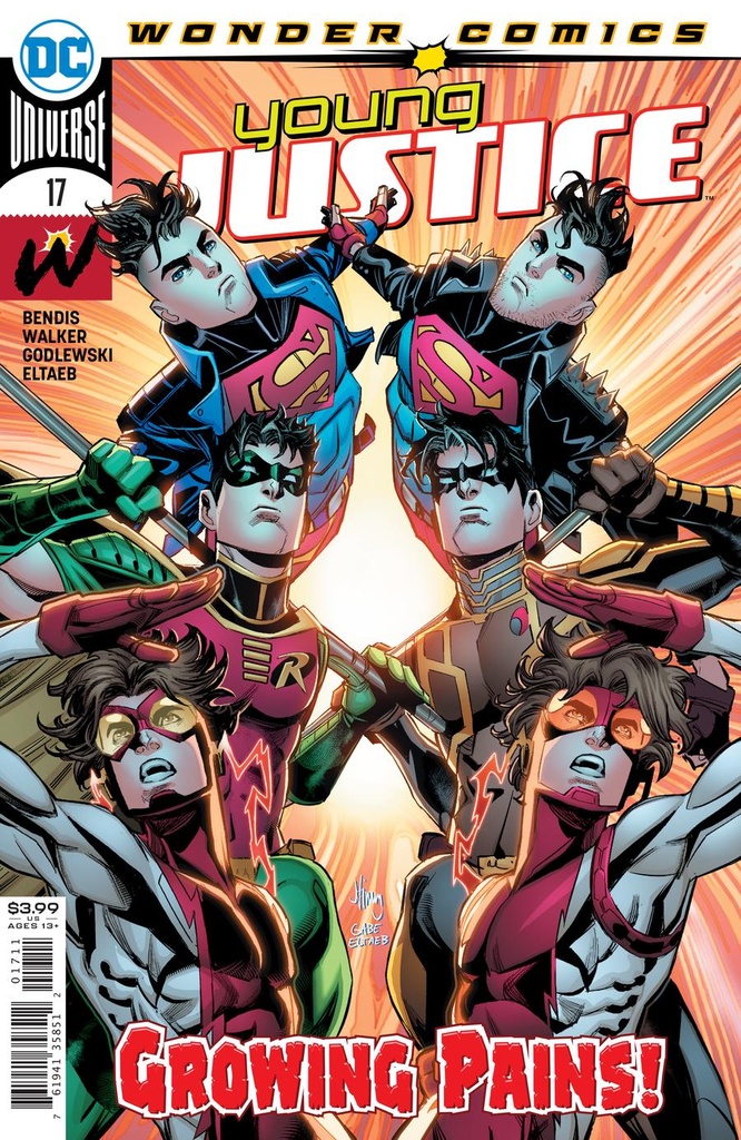 Young Justice #17