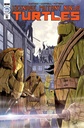 Teenage Mutant Ninja Turtles: Ongoing #108 (1:10 Brooks Variant)