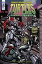 Teenage Mutant Ninja Turtles: Urban Legends #23 (Cover A Fosco)