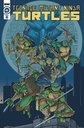 Teenage Mutant Ninja Turtles: Ongoing #111 (1:10 Lubera Variant)