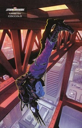 [FEB240627] Symbiote Spider-Man 2099 #2 of 5 (Martin Coccolo Stormbreakers Variant)