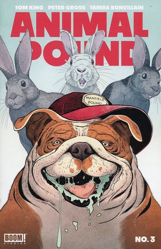 [FEB240093] Animal Pound #3 of 4 (Cover A Peter Gross)