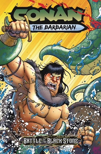 [JUL240358] Conan the Barbarian: Battle of the Black Stone #1 (Cover E Tony Fleecs)