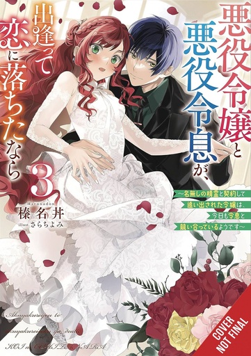 [OCT242100] If the Villainess and Villain Met and Fell in Love (Light Novel), Vol. 3 (Light Novel)